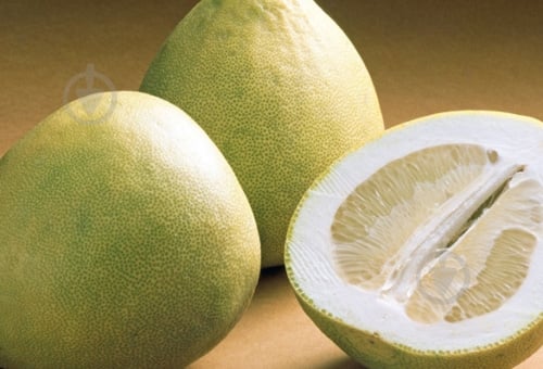 Помело - фото 3