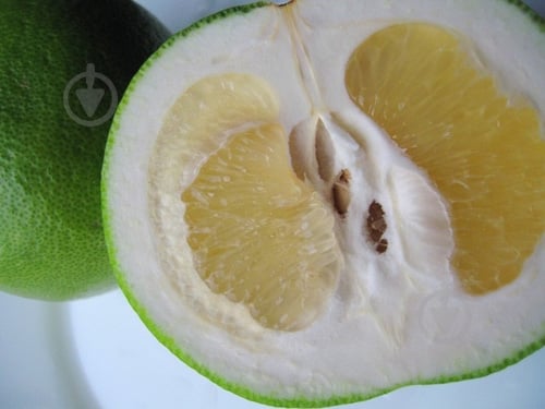 Свити весовой - фото 3