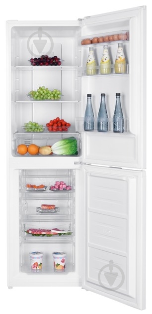 Холодильник EDLER ED-314INW - фото 2