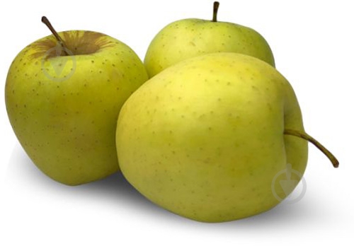 Яблука голден - фото 2