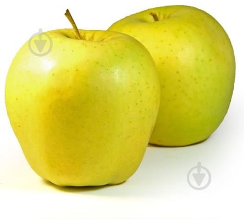 Яблука голден - фото 1