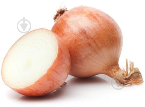 Лук репчатый желтая - фото 1