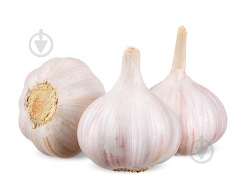 Часник китай - фото 2 Часник китай - фото 2