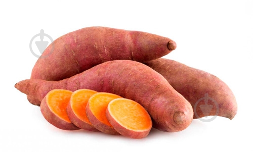 Батат - фото 2 Батат - фото 2