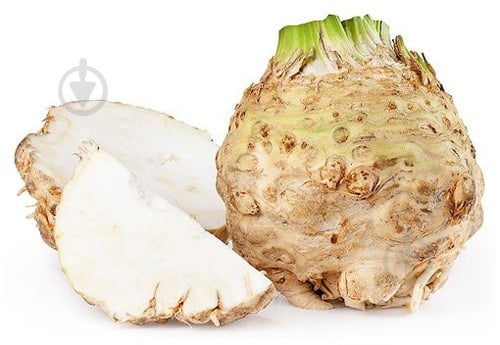 Корень сельдерея - фото 2