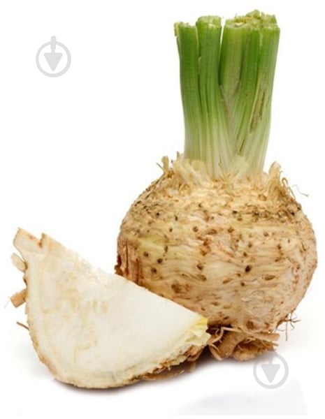 Корень сельдерея - фото 1