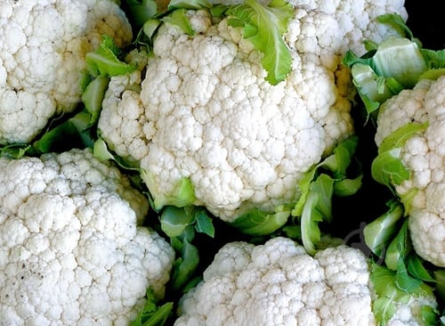 Капуста цветная импортная - фото 2 Капуста цветная импортная - фото 2