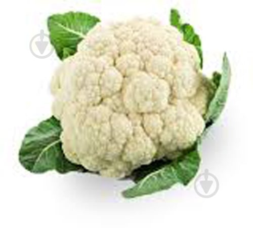 Капуста цветная импортная - фото 1 Капуста цветная импортная - фото 1