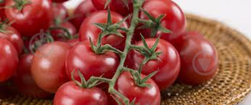 Помидоры коктейльные - фото 3 Помидоры коктейльные - фото 3