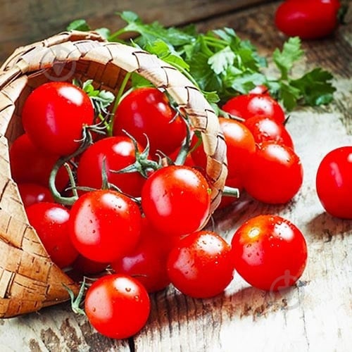 Помидоры коктейльные - фото 2 Помидоры коктейльные - фото 2