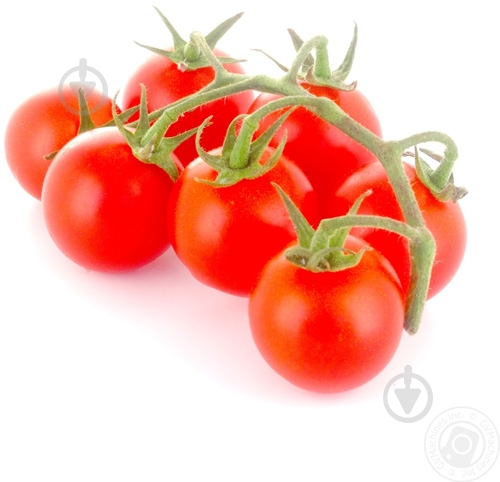 Помидоры коктейльные - фото 1 Помидоры коктейльные - фото 1