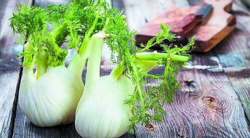 Лук Фенхель - фото 3