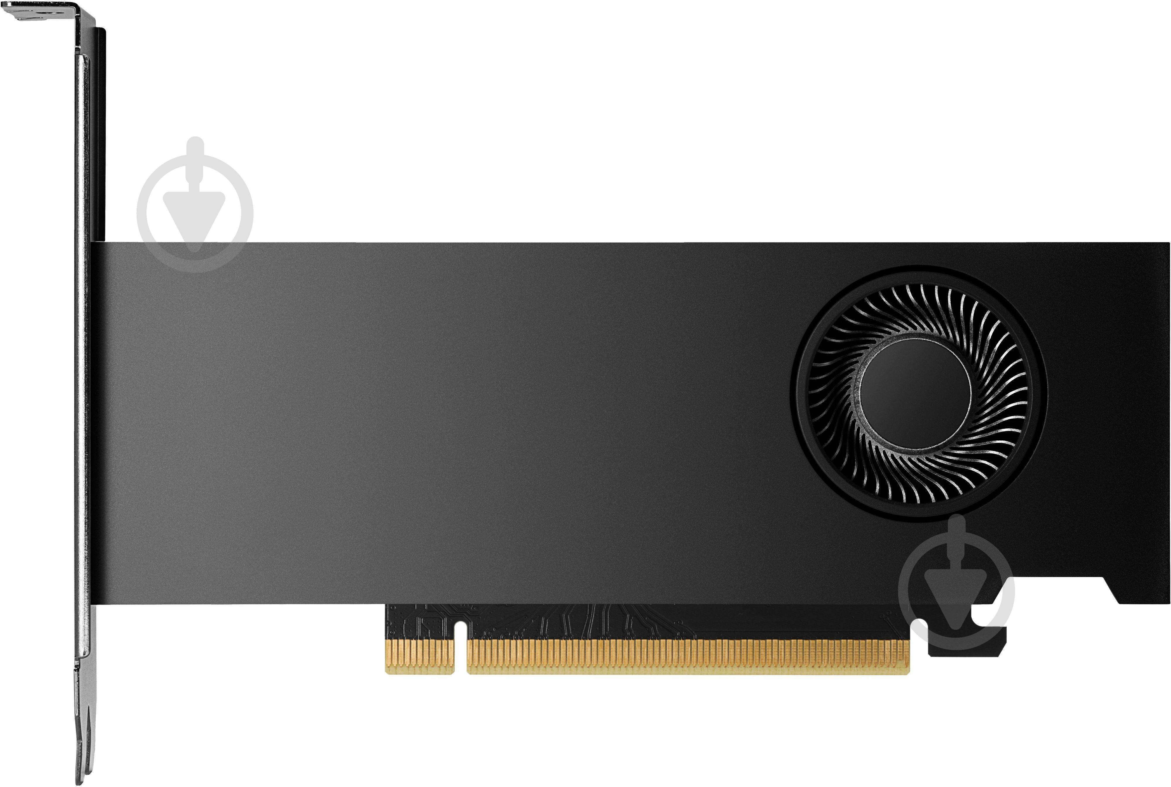 Відеокарта HP Quadro RTX A2000 Ada 16GB GDDR6 128bit (8D6B8AA) - фото 1