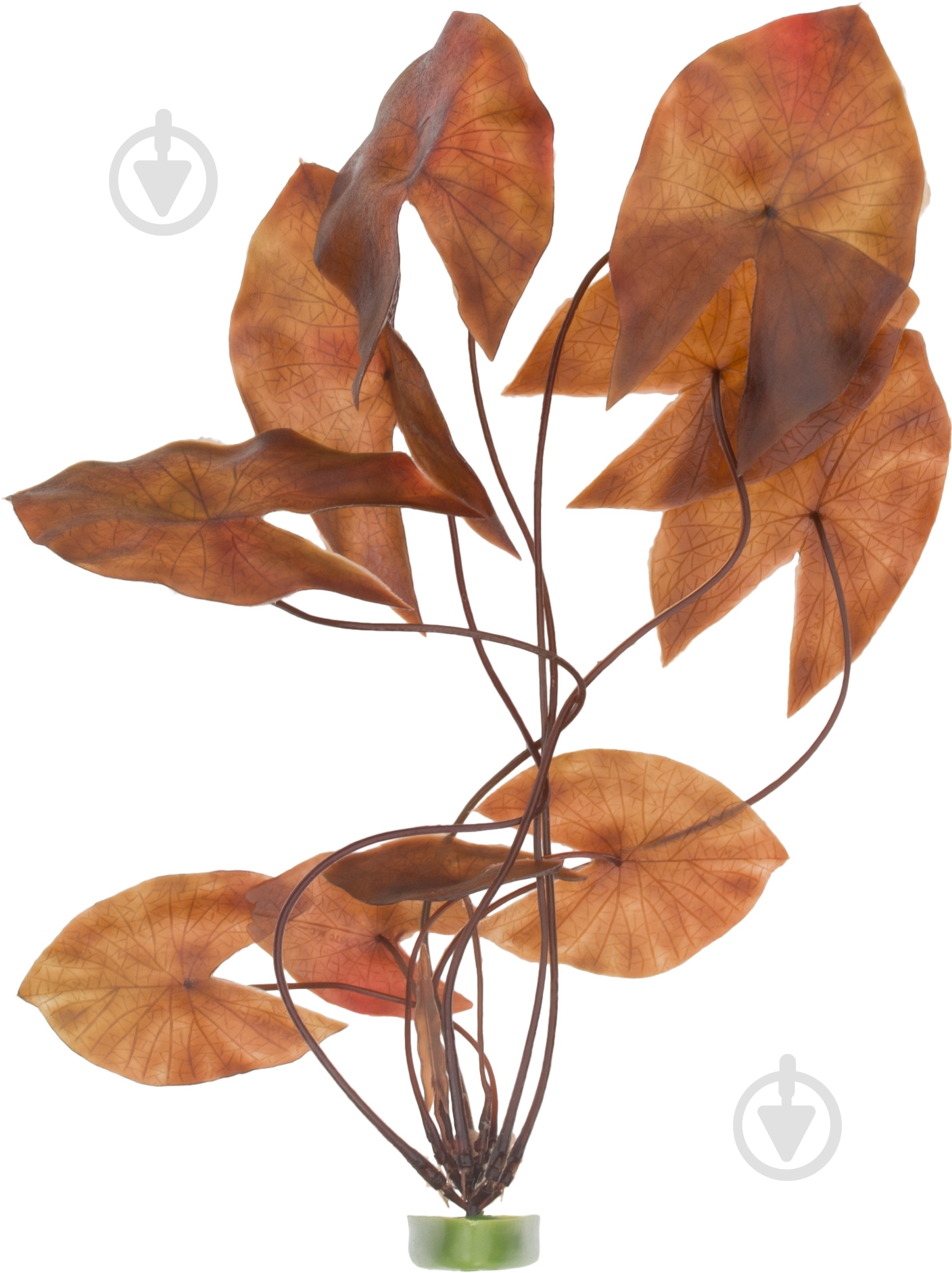 Растение Hagen JUNGLE DRAFT LILY 38 см - фото 2