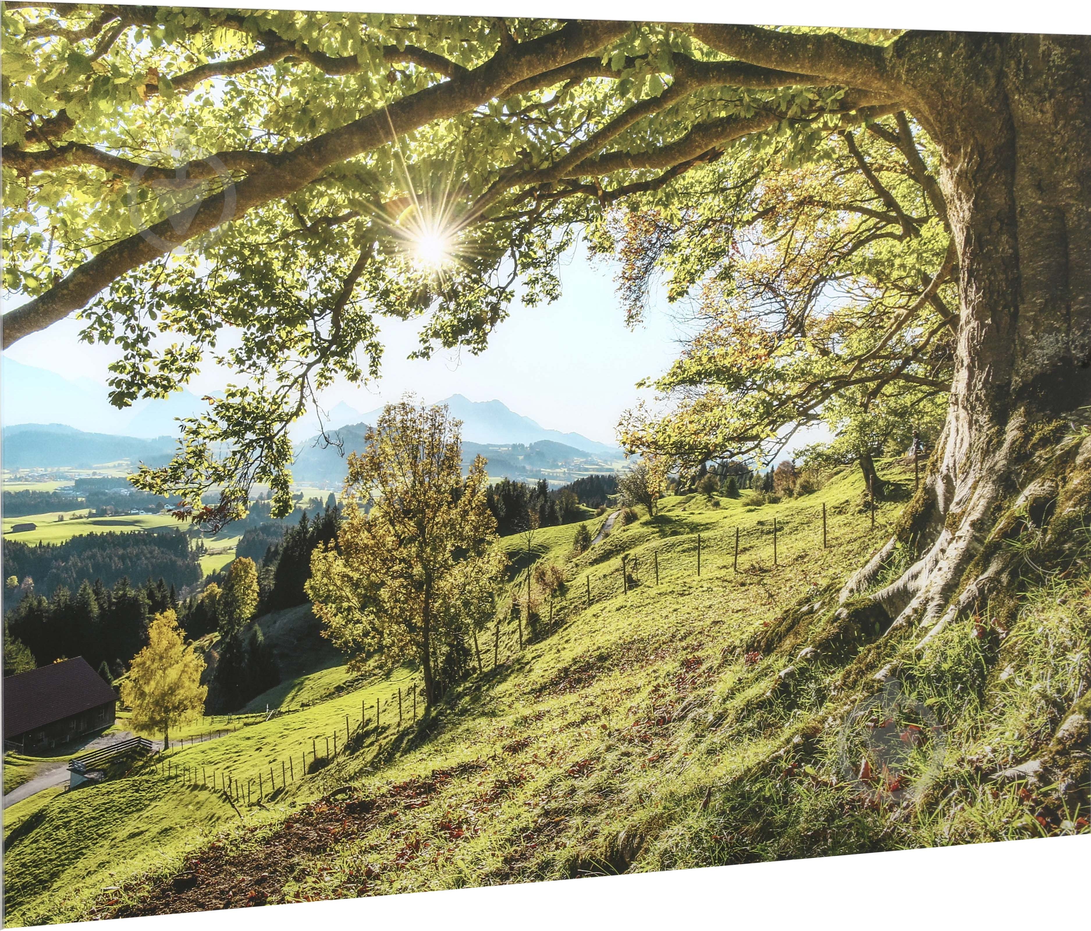 Картина на стекле Зеленое дерево 80x120 см Styler GL-02002 - фото 3