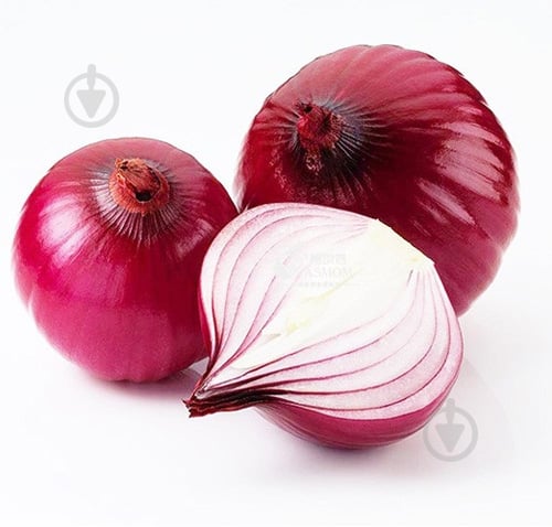 Цибуля синя - фото 2 Цибуля синя - фото 2