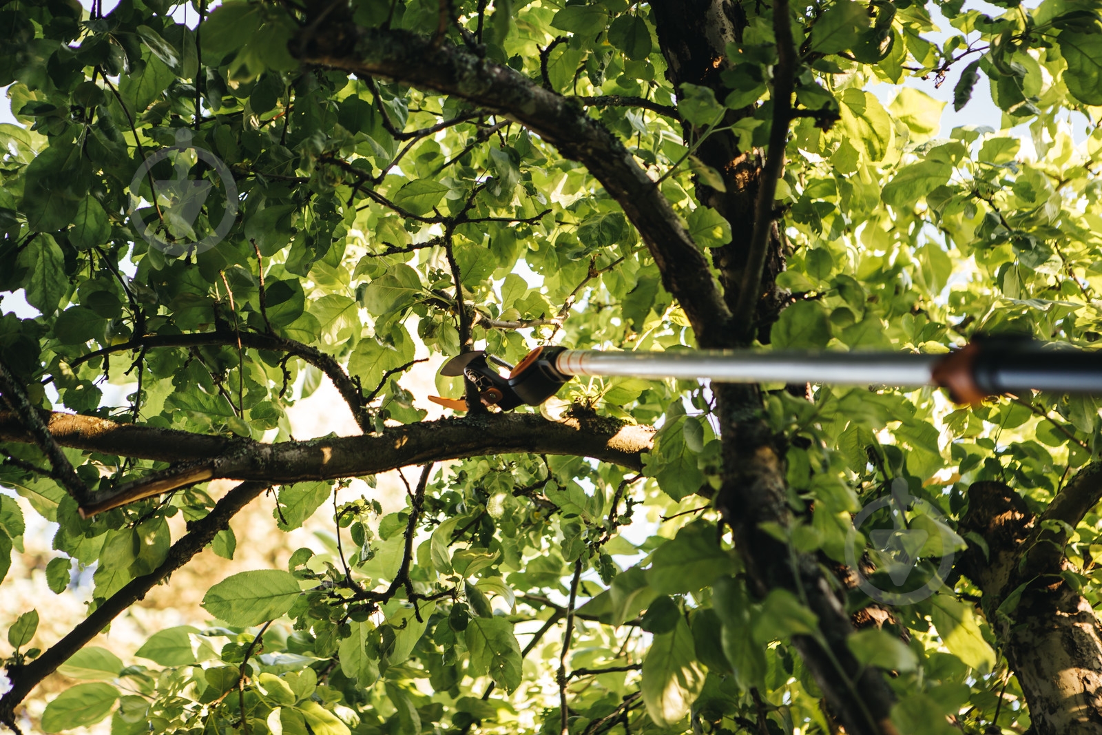 УЦЕНКА! Сучкорез универсальный Fiskars TREE PRUNER UPX82 (УЦ №101) - фото 4 УЦЕНКА! Сучкорез универсальный Fiskars TREE PRUNER UPX82 (УЦ №101) - фото 4