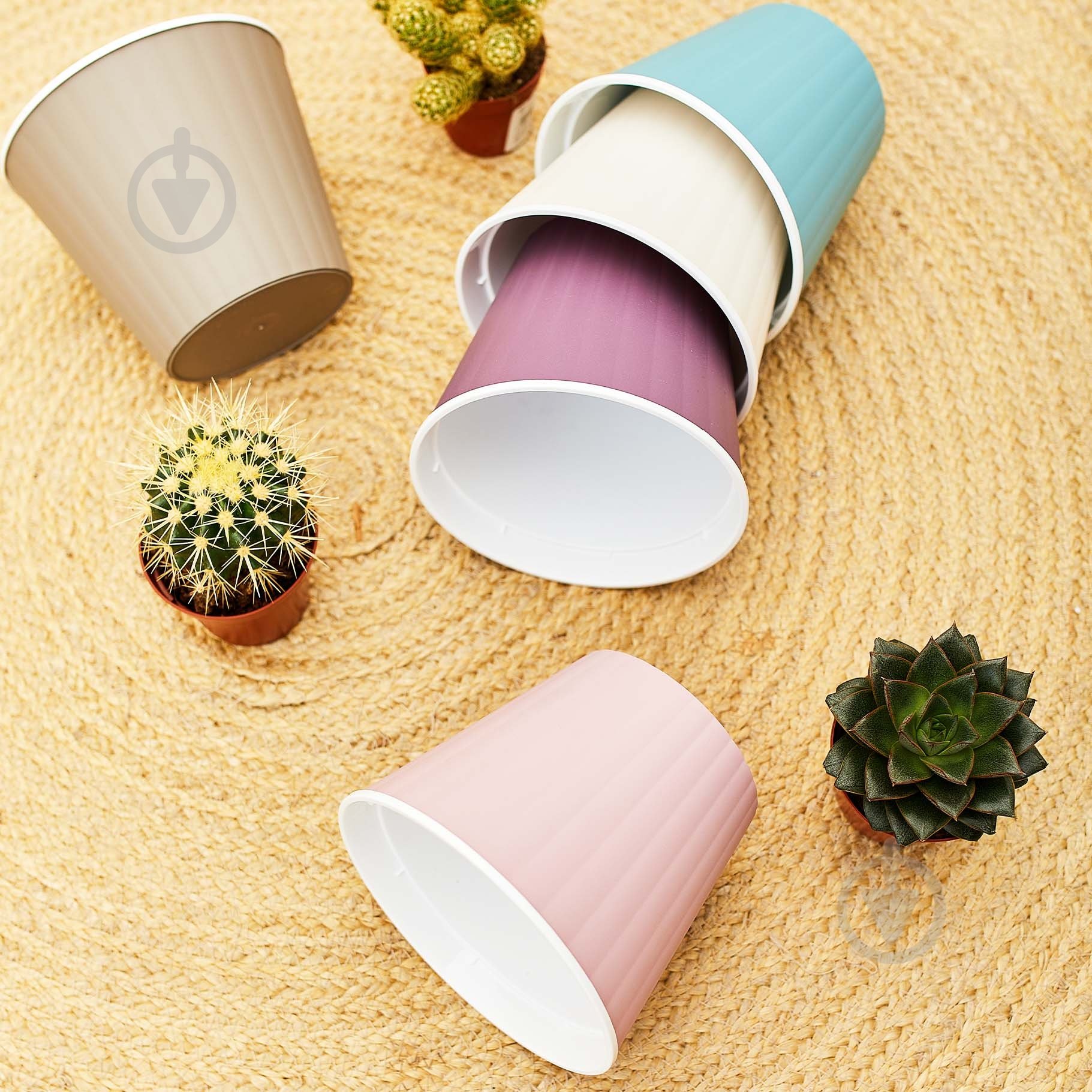 Горщик пластиковий Алеана Ібіс з подвійним дном 15,7x13,0 см круглий 1,7 л біла троянда/білий (114034) - фото 3