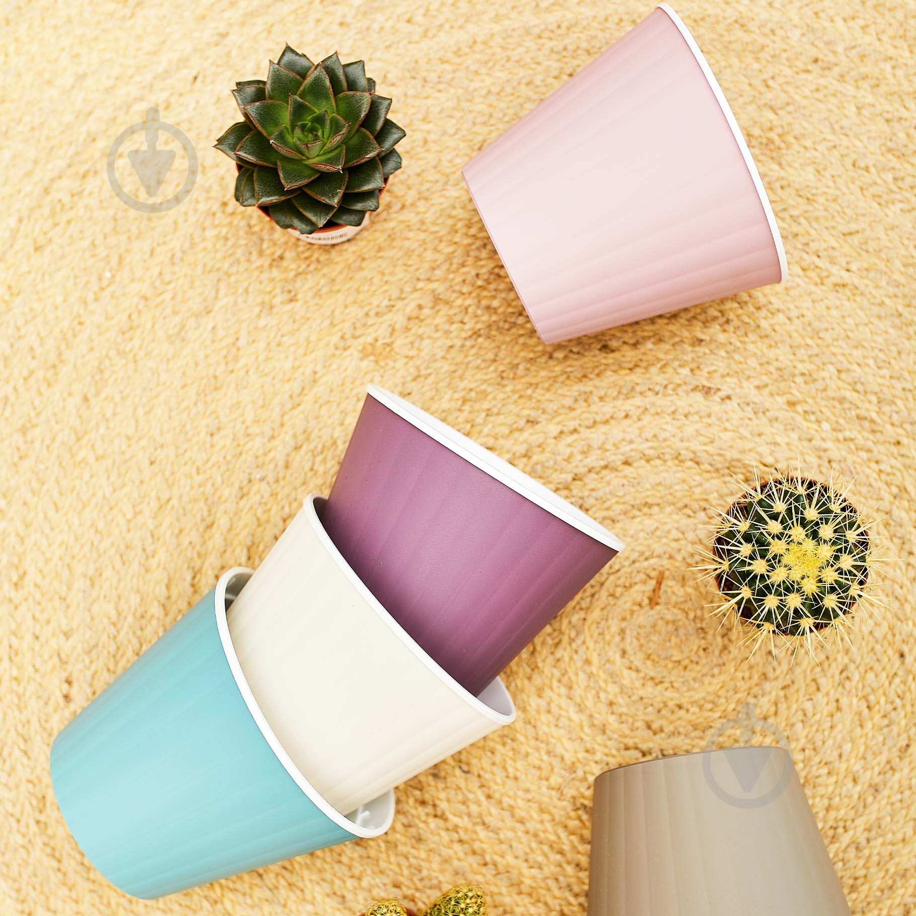 Горщик пластиковий Алеана Ібіс з подвійним дном 15,7x13,0 см круглий 1,7 л біла троянда/білий (114034) - фото 5