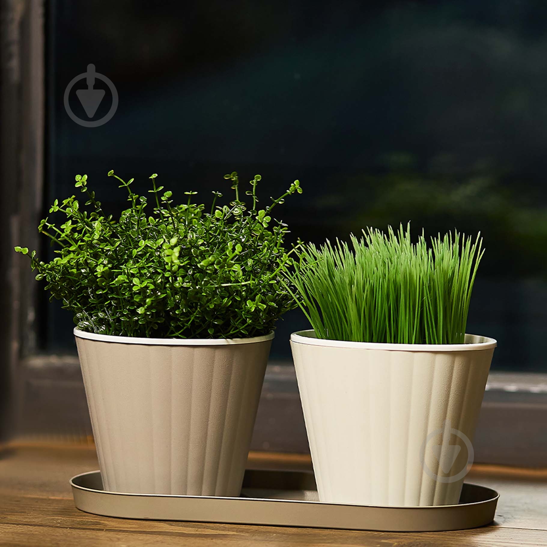 Горщик пластиковий Алеана Ібіс з подвійним дном 15,7x13,0 см круглий 1,7 л біла троянда/білий (114034) - фото 2