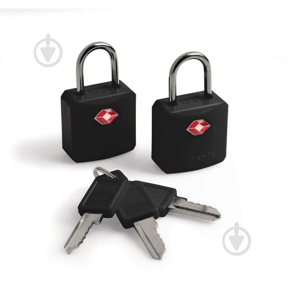 Замок Pacsafe Prosafe 620 Smartоткрытый (амбарный) - фото 1 Замок Pacsafe Prosafe 620 Smartоткрытый (амбарный) - фото 1