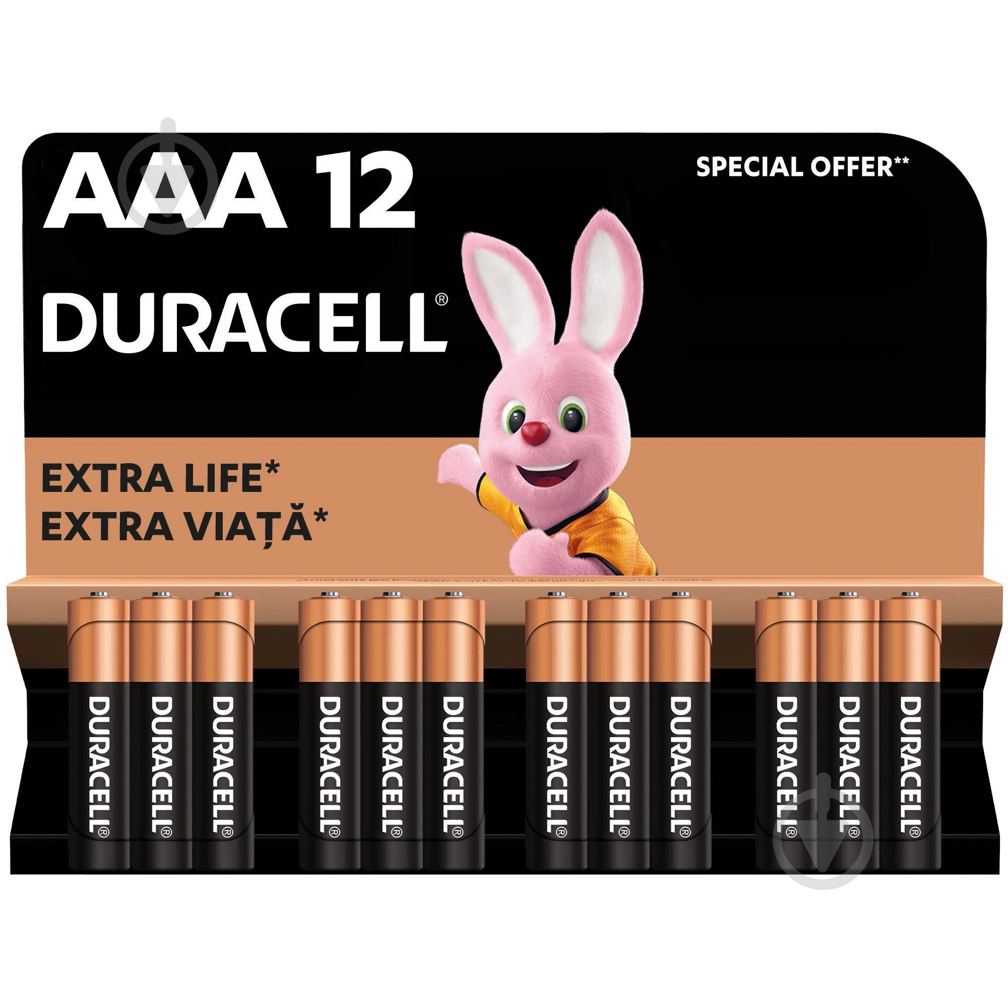 Батарейки лужні Duracell LR03 MN2400 AAA (мізинчикові) 12 шт. - фото 1