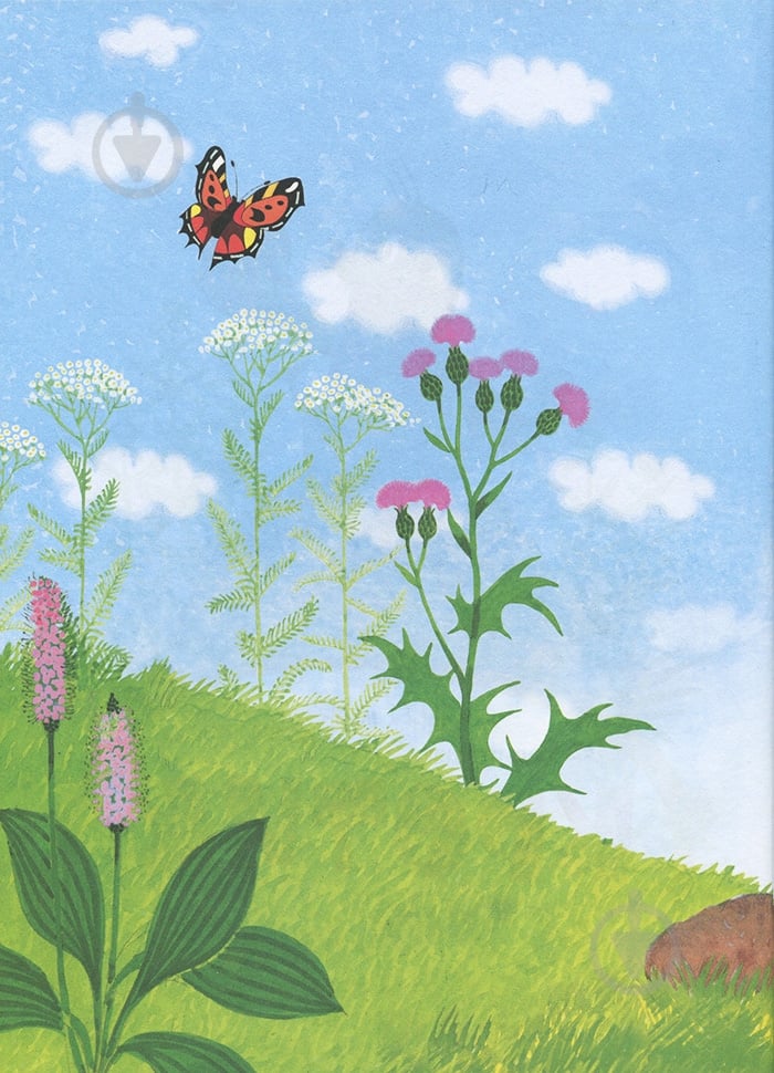 Книга Зденек Милер «Кротик» 978-966-462-962-8 - фото 5