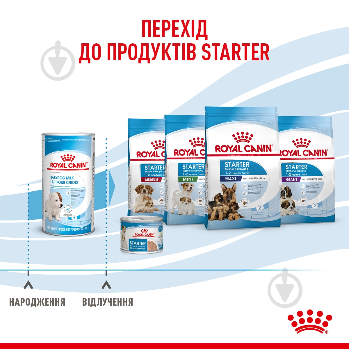 Корм сухий для цуценят для усіх порід Royal Canin Babydog Milk 2 кг - фото 3 Корм сухий для цуценят для усіх порід Royal Canin Babydog Milk 2 кг - фото 3
