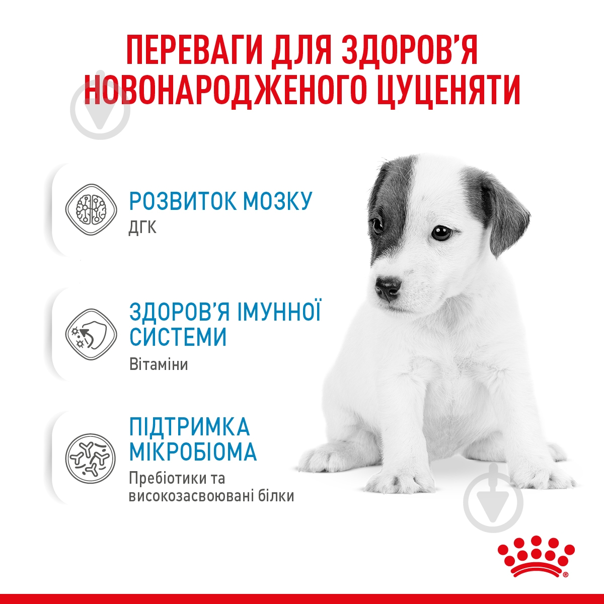 Корм сухий для цуценят для усіх порід Royal Canin Babydog Milk 2 кг - фото 6 Корм сухий для цуценят для усіх порід Royal Canin Babydog Milk 2 кг - фото 6