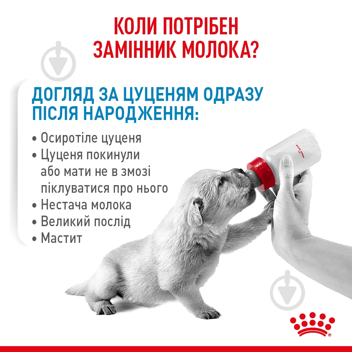 Корм сухий для цуценят для усіх порід Royal Canin Babydog Milk 2 кг - фото 8 Корм сухий для цуценят для усіх порід Royal Canin Babydog Milk 2 кг - фото 8