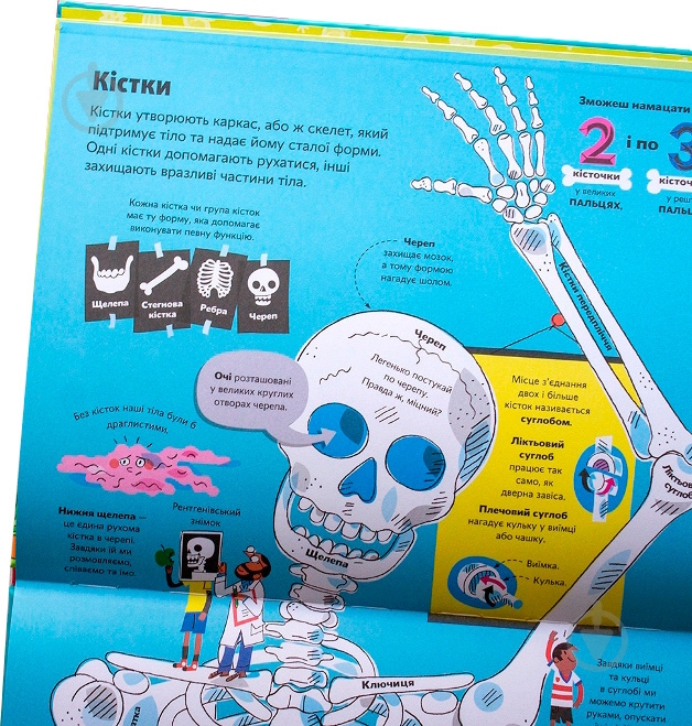 Книга Минна Лейси «Велика книга про тіло» 978-617-7688-09-8 - фото 8