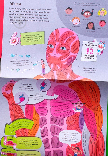 Книга Минна Лейси «Велика книга про тіло» 978-617-7688-09-8 - фото 10