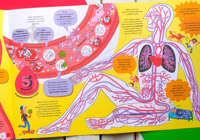 Книга Минна Лейси «Велика книга про тіло» 978-617-7688-09-8 - фото 9
