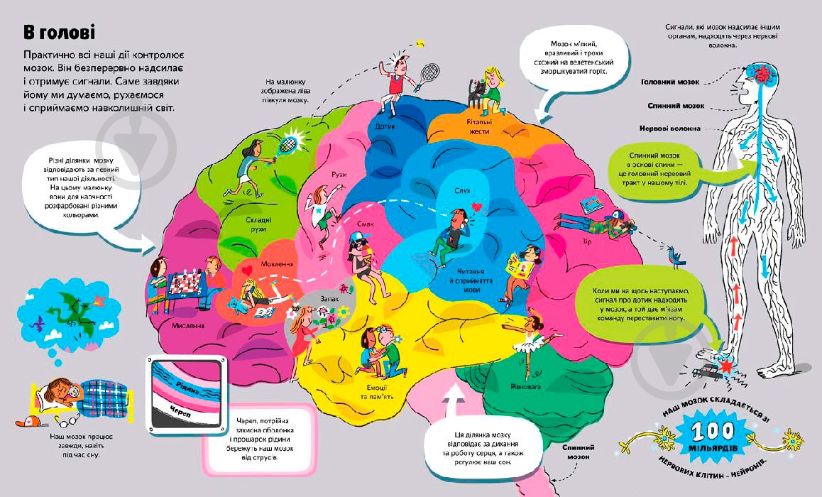 Книга Минна Лейси «Велика книга про тіло» 978-617-7688-09-8 - фото 4