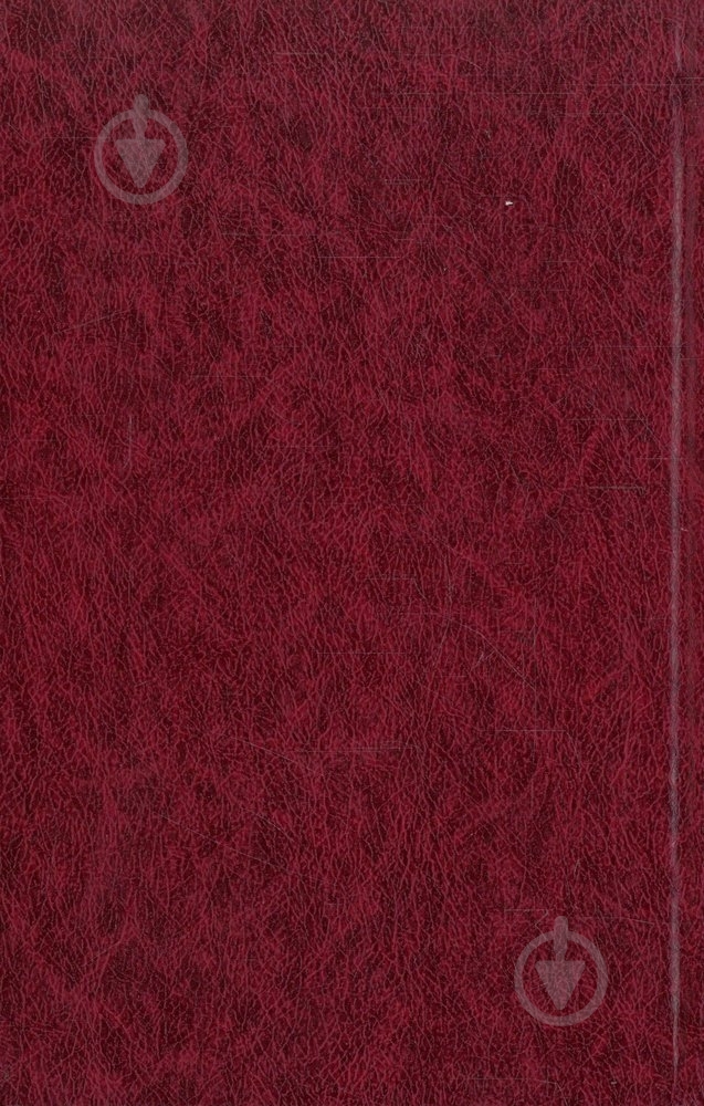 Книга Томас Бернгард «Холоднеча. Старі майстри» 978-966-03-6433-2 - фото 2