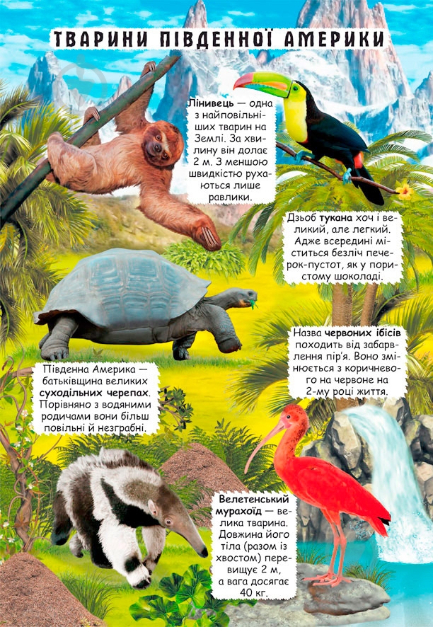 Книга «Книжка з секретними віконцями. Відкрий та дізнайся. Тварини планети Земля» 978-966-936-950-5 - фото 7