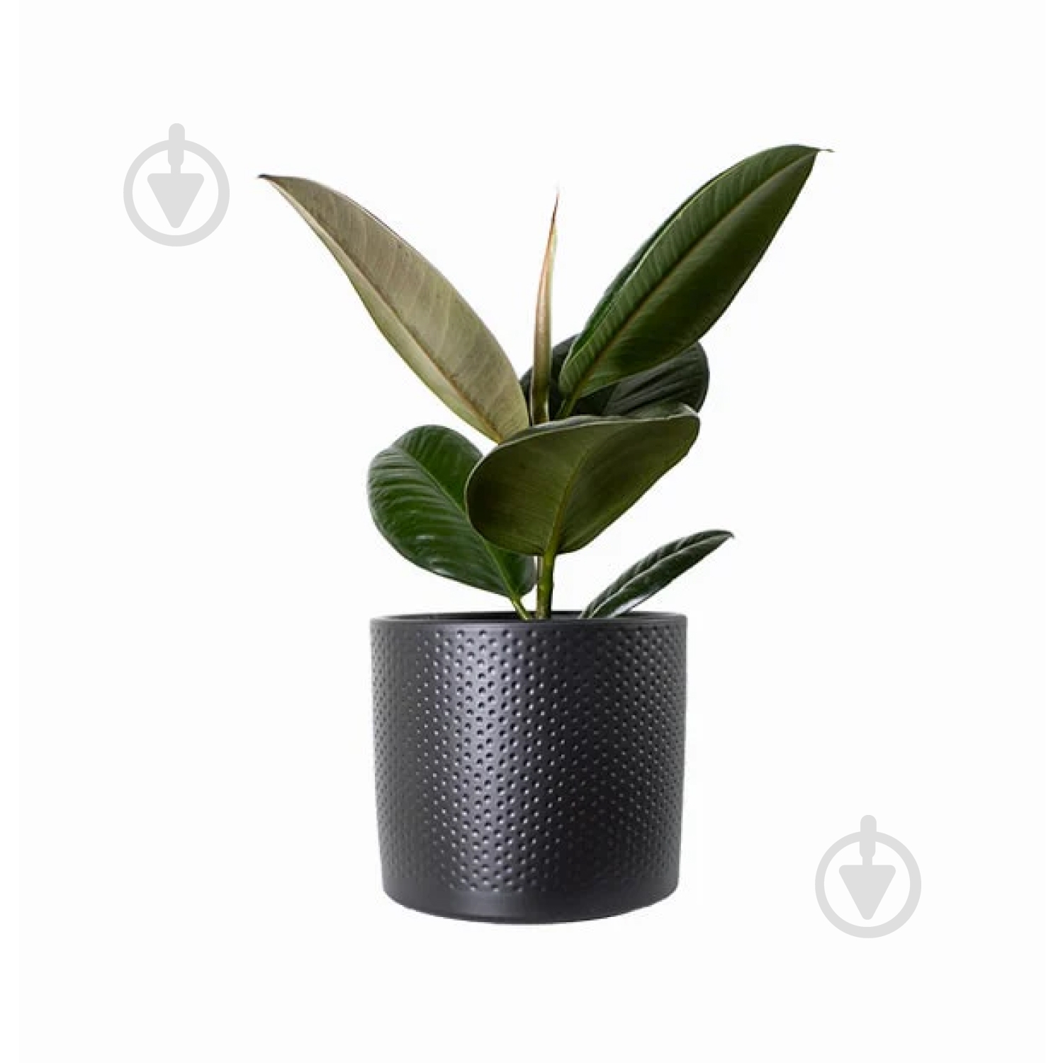 Вазон керамика Era pot round 13,5х12,5 см круглый черный матовый 1,5 л Edelman (1051637) - фото 2