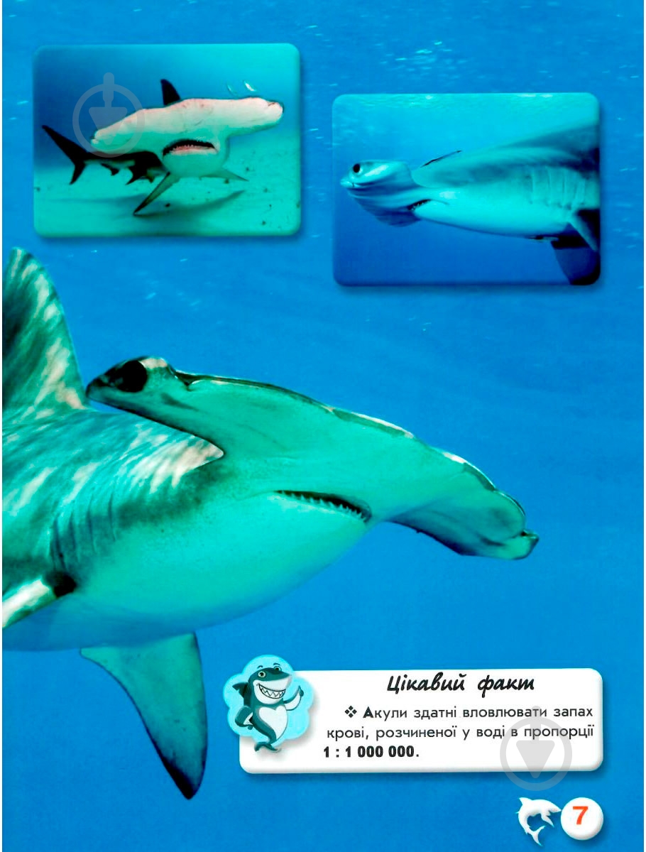 Книга Тамара Протасовицкая «Світ навколо нас. Акули» 978-966-936-914-7 - фото 6