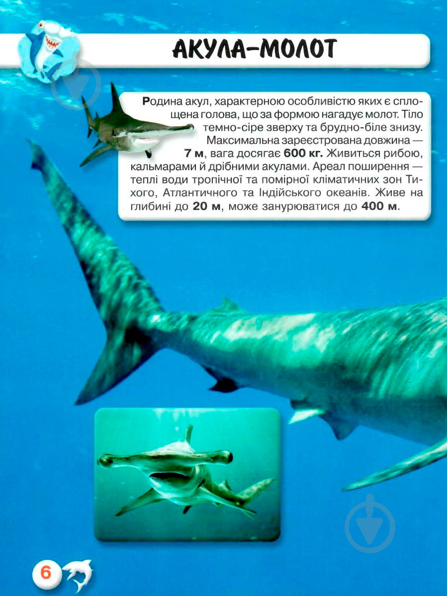 Книга Тамара Протасовицкая «Світ навколо нас. Акули» 978-966-936-914-7 - фото 5