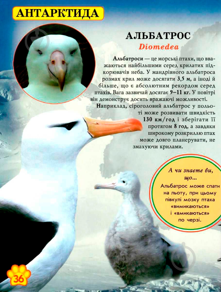 Книга «Світ навколо нас. Дикі тварини» 978-966-936-942-0 - фото 7