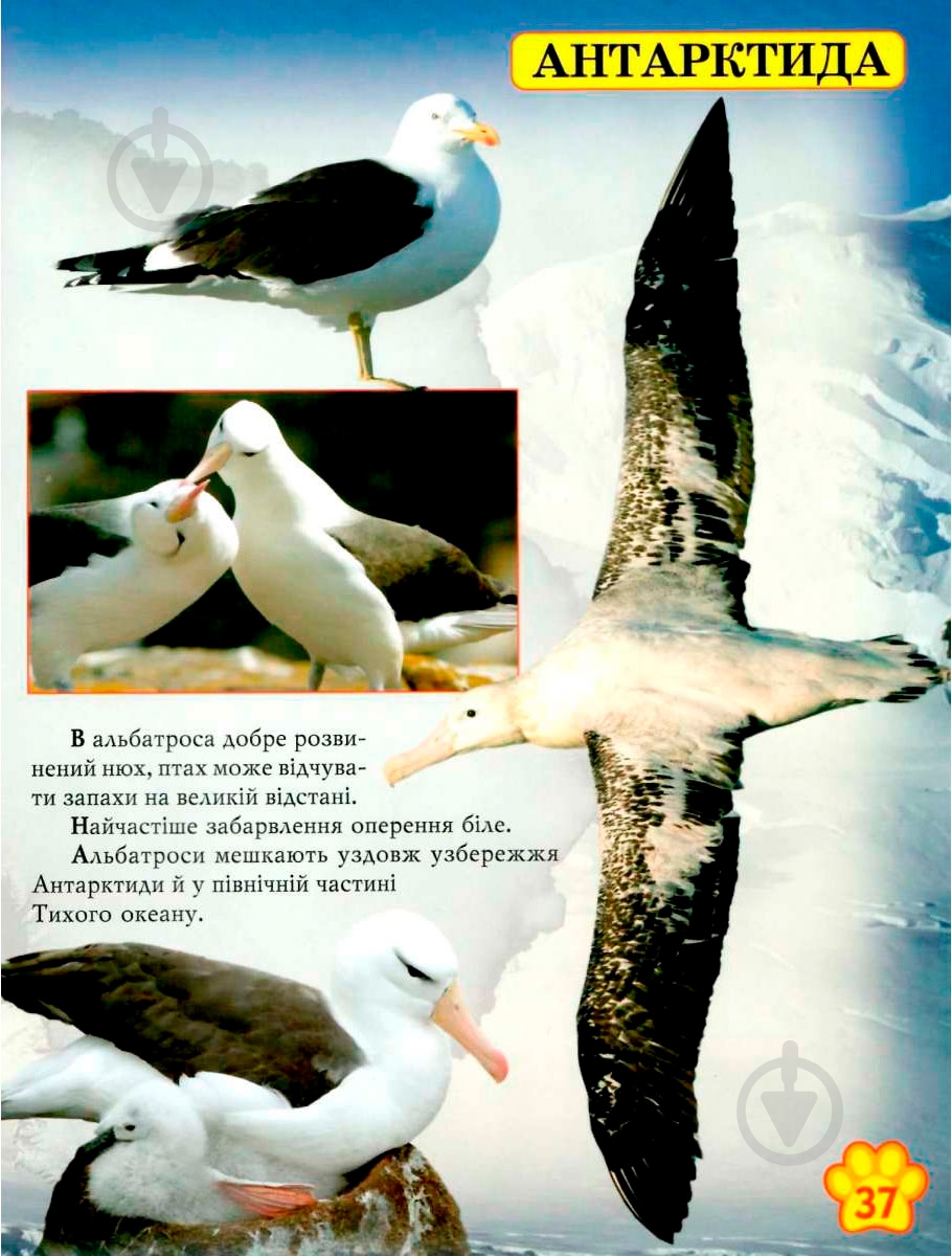 Книга «Світ навколо нас. Дикі тварини» 978-966-936-942-0 - фото 8