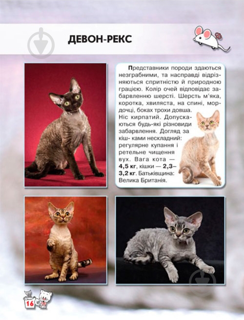 Книга Тамара Протасовицкая «Світ навколо нас. Кішки» 978-966-936-750-1 - фото 7