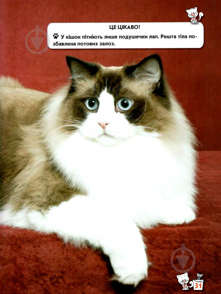 Книга Тамара Протасовицкая «Світ навколо нас. Кішки» 978-966-936-750-1 - фото 10