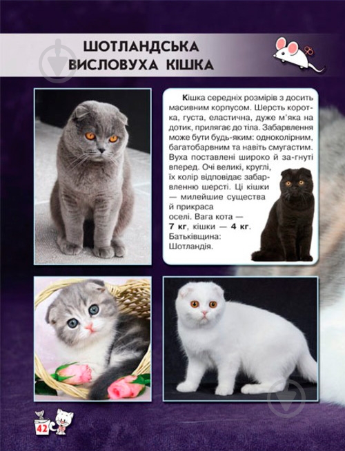 Книга Тамара Протасовицкая «Світ навколо нас. Кішки» 978-966-936-750-1 - фото 11