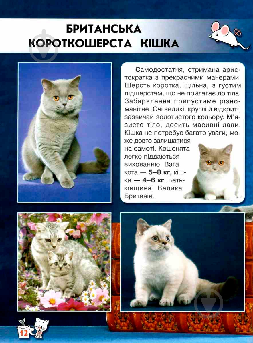 Книга Тамара Протасовицкая «Світ навколо нас. Кішки» 978-966-936-750-1 - фото 5