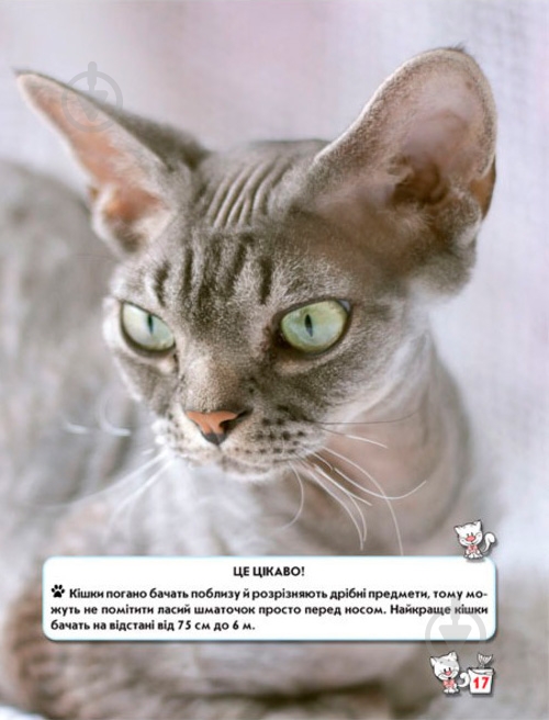 Книга Тамара Протасовицкая «Світ навколо нас. Кішки» 978-966-936-750-1 - фото 8