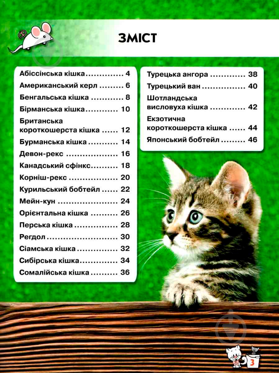 Книга Тамара Протасовицкая «Світ навколо нас. Кішки» 978-966-936-750-1 - фото 3
