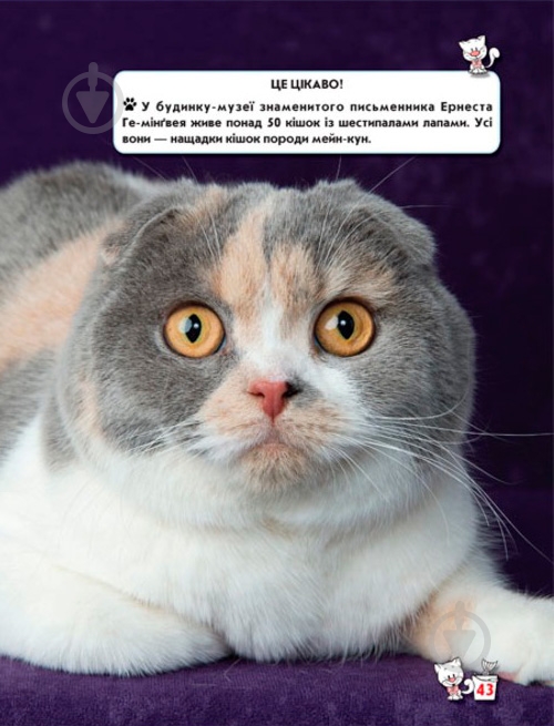 Книга Тамара Протасовицкая «Світ навколо нас. Кішки» 978-966-936-750-1 - фото 12
