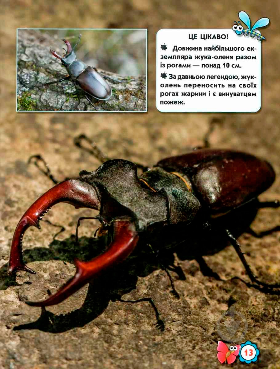 Книга Тамара Протасовицкая «Світ навколо нас. Комахи» 978-966-9369-20-8 - фото 6 Книга Тамара Протасовицкая «Світ навколо нас. Комахи» 978-966-9369-20-8 - фото 6