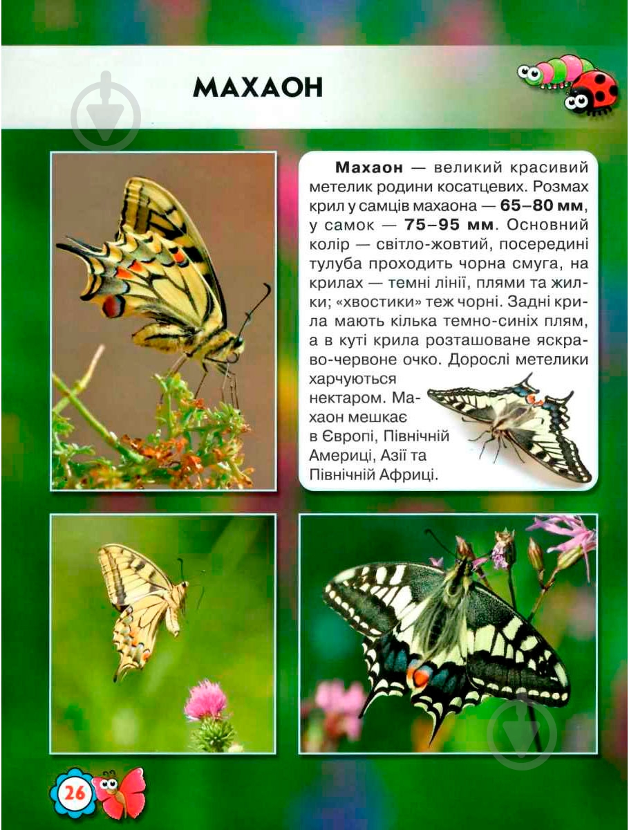 Книга Тамара Протасовицкая «Світ навколо нас. Комахи» 978-966-9369-20-8 - фото 7 Книга Тамара Протасовицкая «Світ навколо нас. Комахи» 978-966-9369-20-8 - фото 7